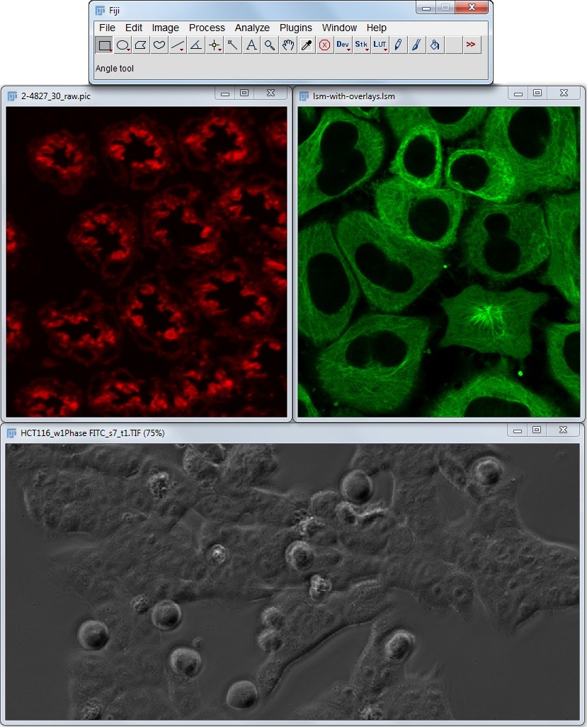 imagej nd2 plugin windows